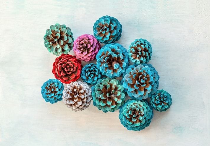 20 Fun Pinecone Crafts for Kids - A Cultivated Nest