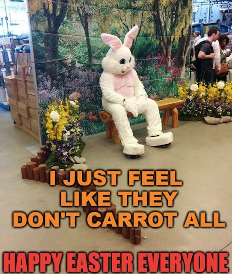 easter bunny funny