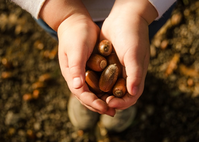 14 fall scavenger hunt ideas for kids that are as fun as they are festive