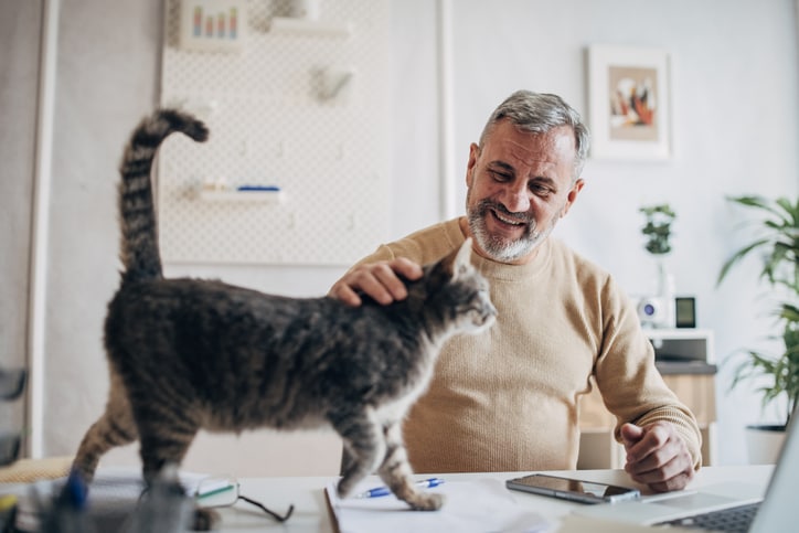 Best pets for seniors of all ability levels: What experts recommend