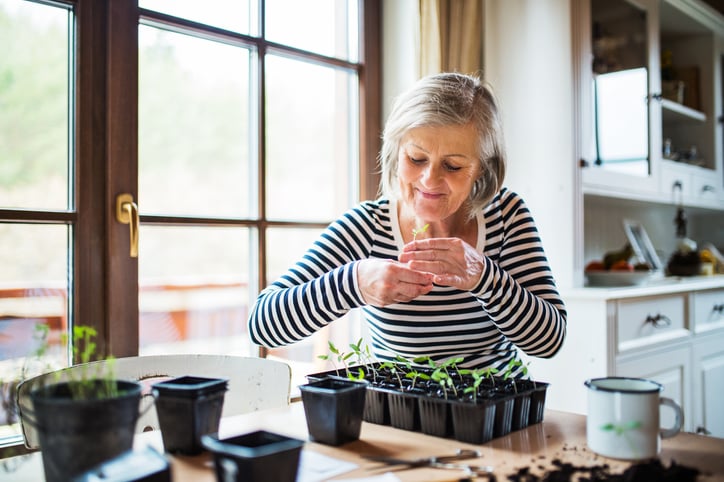 32 hobbies for seniors of all ability levels