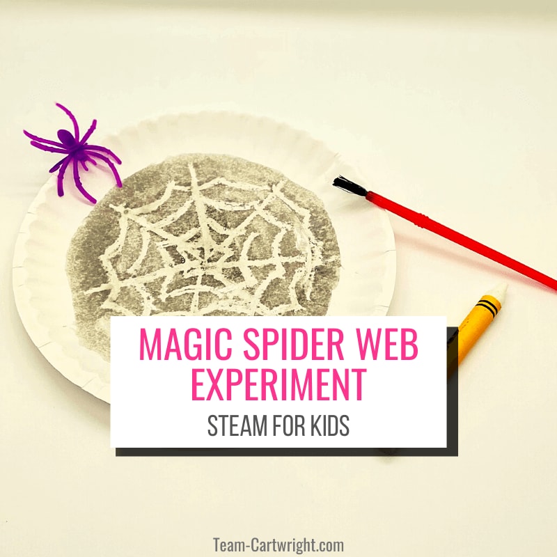 magic spiderweb STEAM experiment