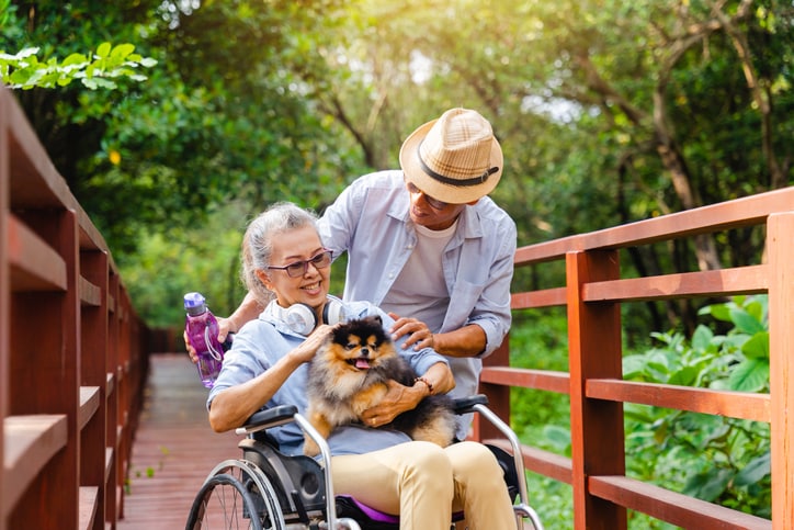 Best dogs for seniors — and how to find the perfect fit