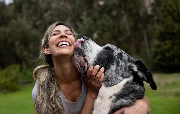 Why does my dog lick me so much? What experts say you need to know