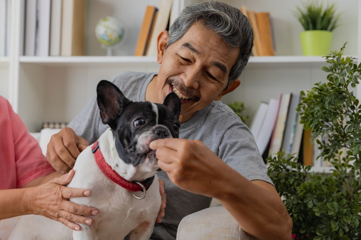 Best dogs for older adults — and how to find the perfect fit