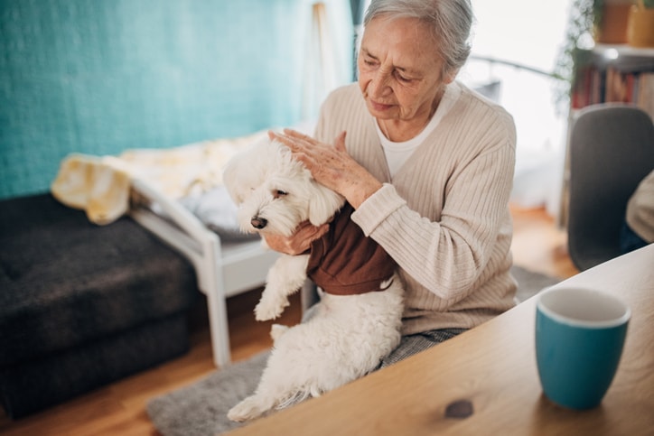 Best dogs for older adults — and how to find the perfect fit