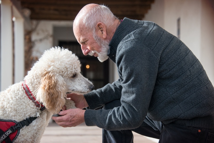 Best dogs for older adults — and how to find the perfect fit