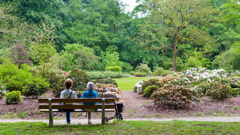 botanical garden