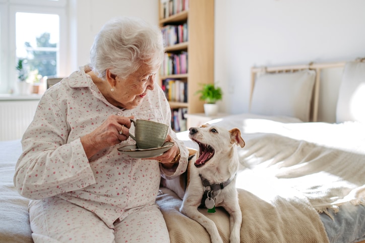 Do assisted living facilities allow pets? Experts explain