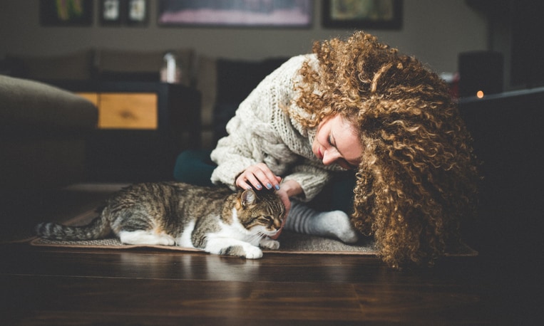 Cat sitting rates: How much to charge for cat sitting?