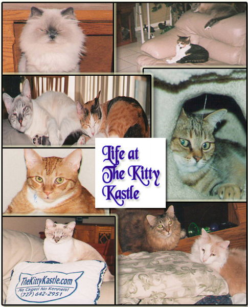 The Kitty Kastle Logo