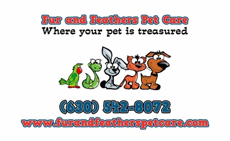 Fur and Feathers Pet Care