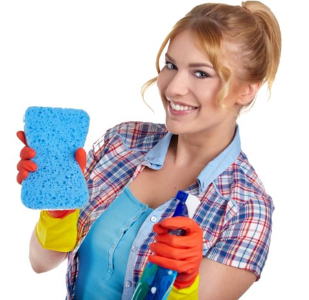 Lilly's Green Cleaning Services