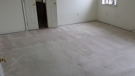 Sparky Carpet Cleaning