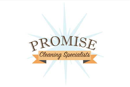 Promise Cleaning