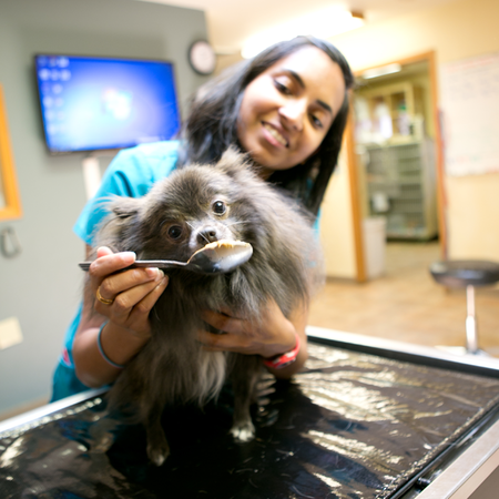 Aspen Grove Veterinary Care