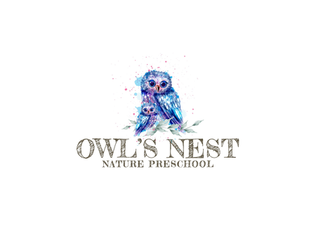 Owls Nest Nature Preschool