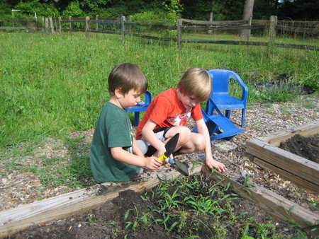 Montessori School of Johns Island