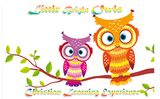 Little Bright Owls Home Daycare