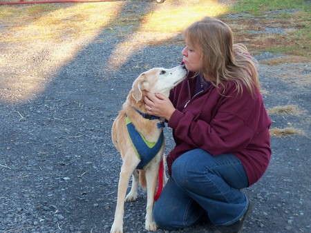 Kathy's Dog Walking & Pet Taxi