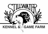 Stillwater Kennel