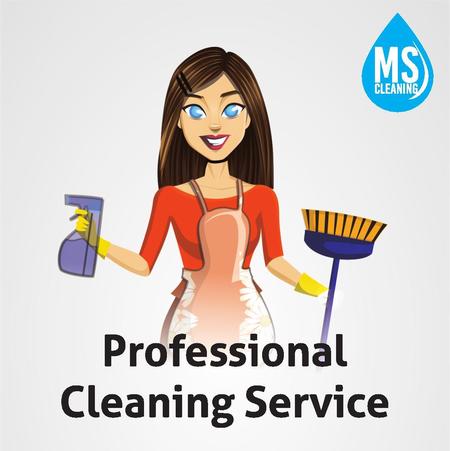 MS Cleaning Florida Inc