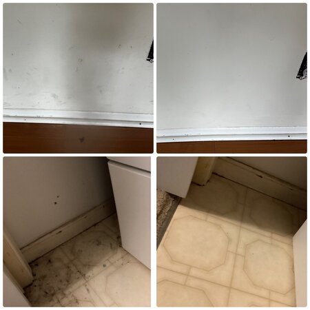 Castle Cleaning llc