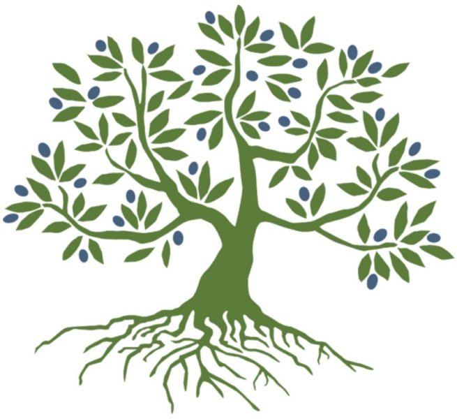 Olive Tree Learning Centers Logo