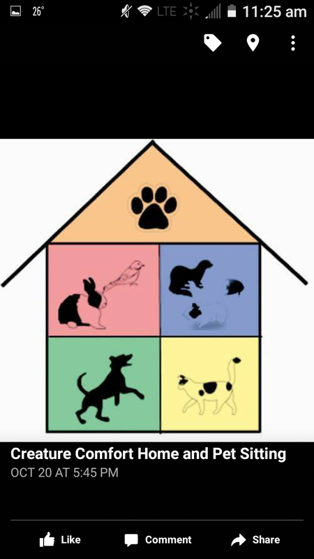 Creature Comfort Home and Pet Sitting