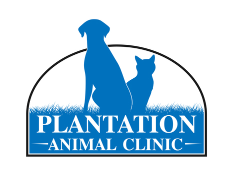 Plantation Animal Hospital