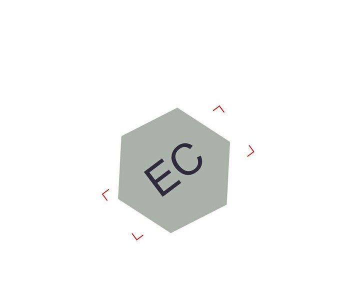 Euphoric Care Llc Logo