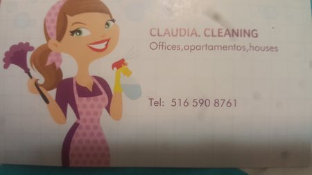 claudia cleaning