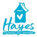 The Hayes School of Wonder