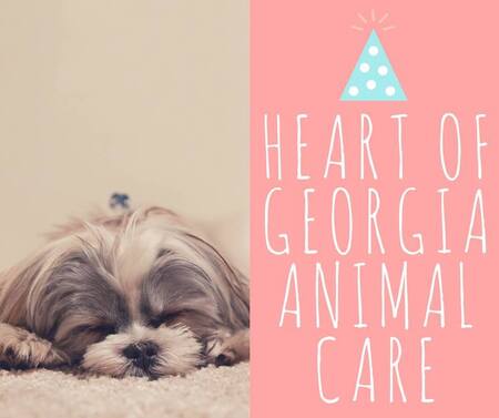 Heart of Georgia Animal Care