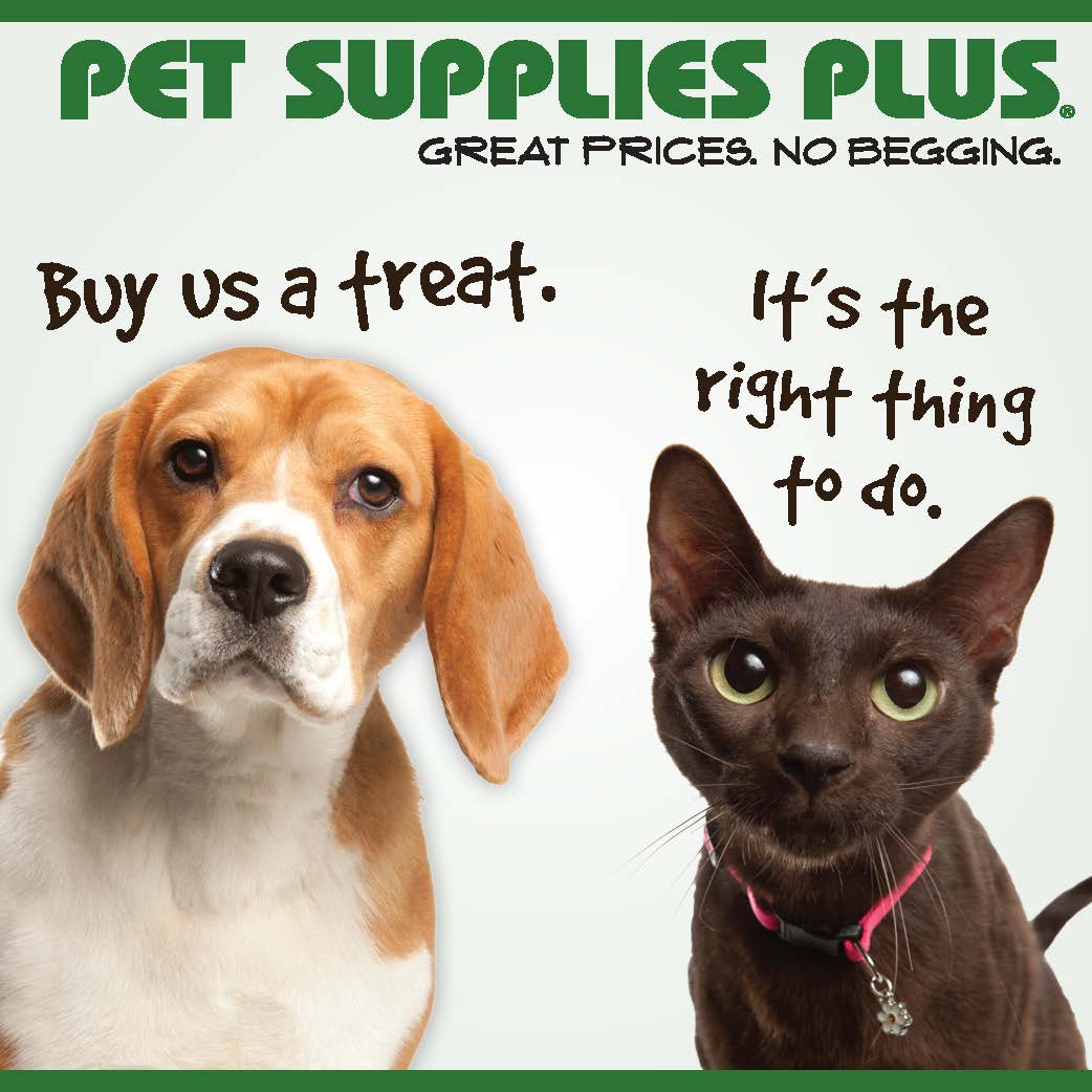 Pet Supplies Plus Grooming Logo