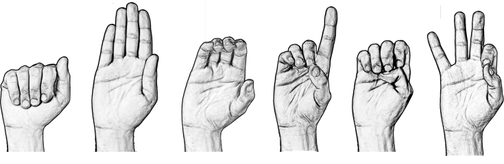 Teaching Sign Language Logo