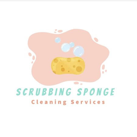 Scrubbing Sponge