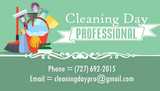 Cleaning Day Professional
