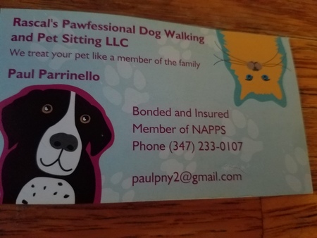 Rascal's Pawfessional Dog Walking and Pet Sitting LLC