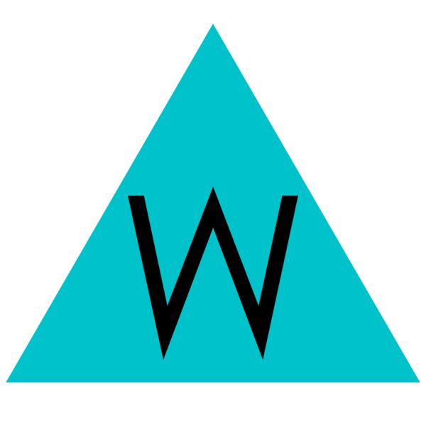 Weinstein Educational Services Logo