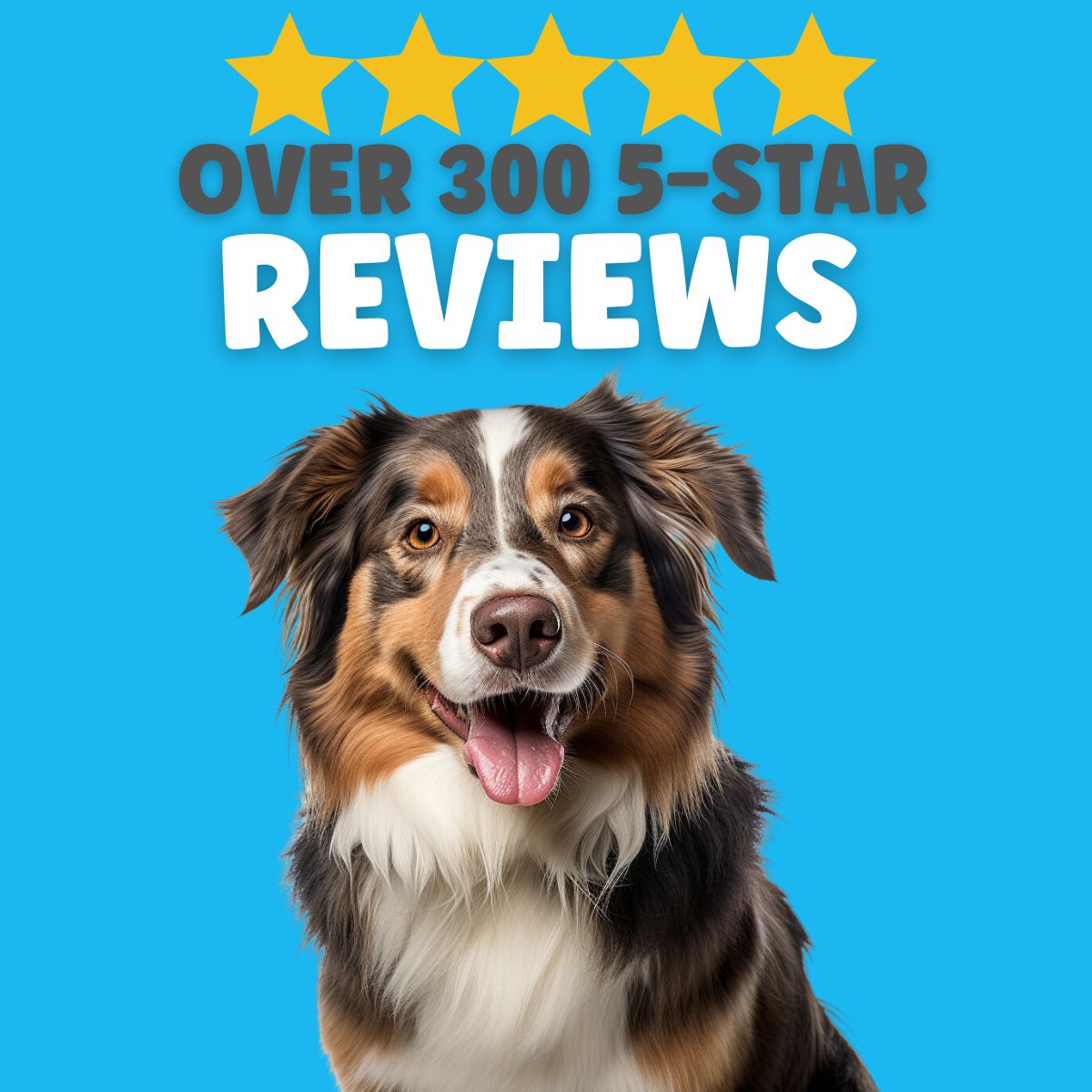 Pretty Pups Pet Resort Logo