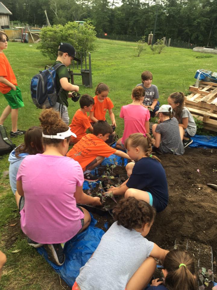 Camp Wetu At Mount Hope Farm Logo