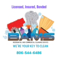 BAMS cleaning service