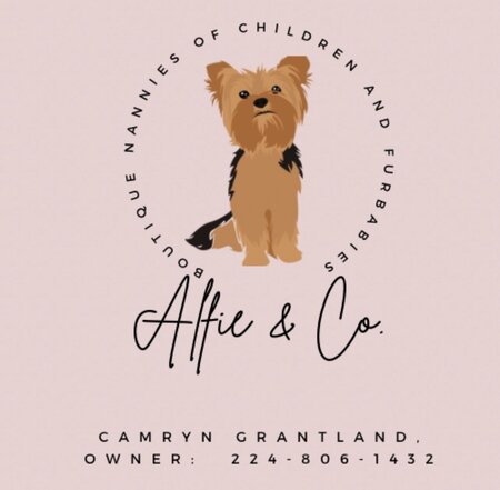 Alfie & Co. Boutique Nannies