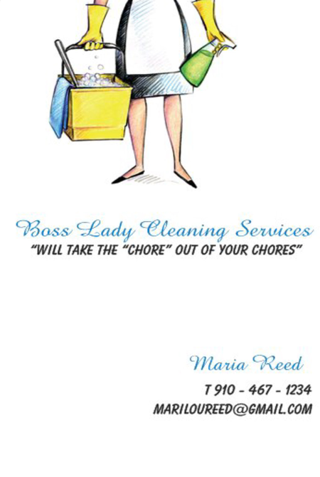 Boss Lady Cleaning Services