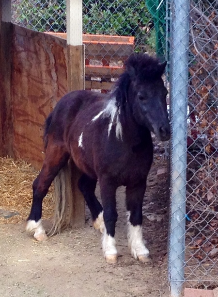 Silverado Children's Center - A Nature Preschool