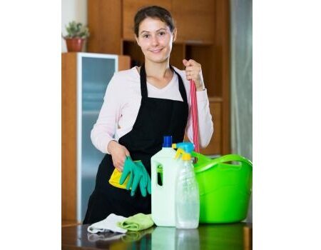 Elite House Cleaning Scottsdale