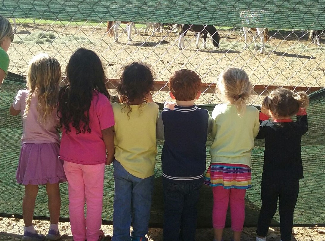 Silverado Children's Center - A Nature Preschool Logo