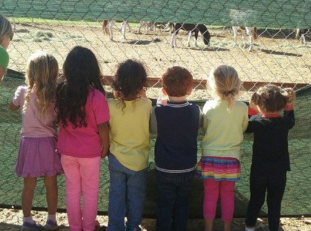 Silverado Children's Center - A Nature Preschool