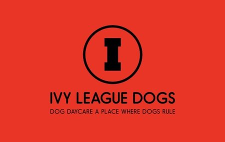 Ivy League Dogs